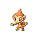 :Chimchar: