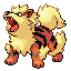 :Arcanine: