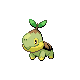 :Turtwig: