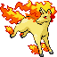 :Rapidash: