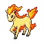 :Ponyta: